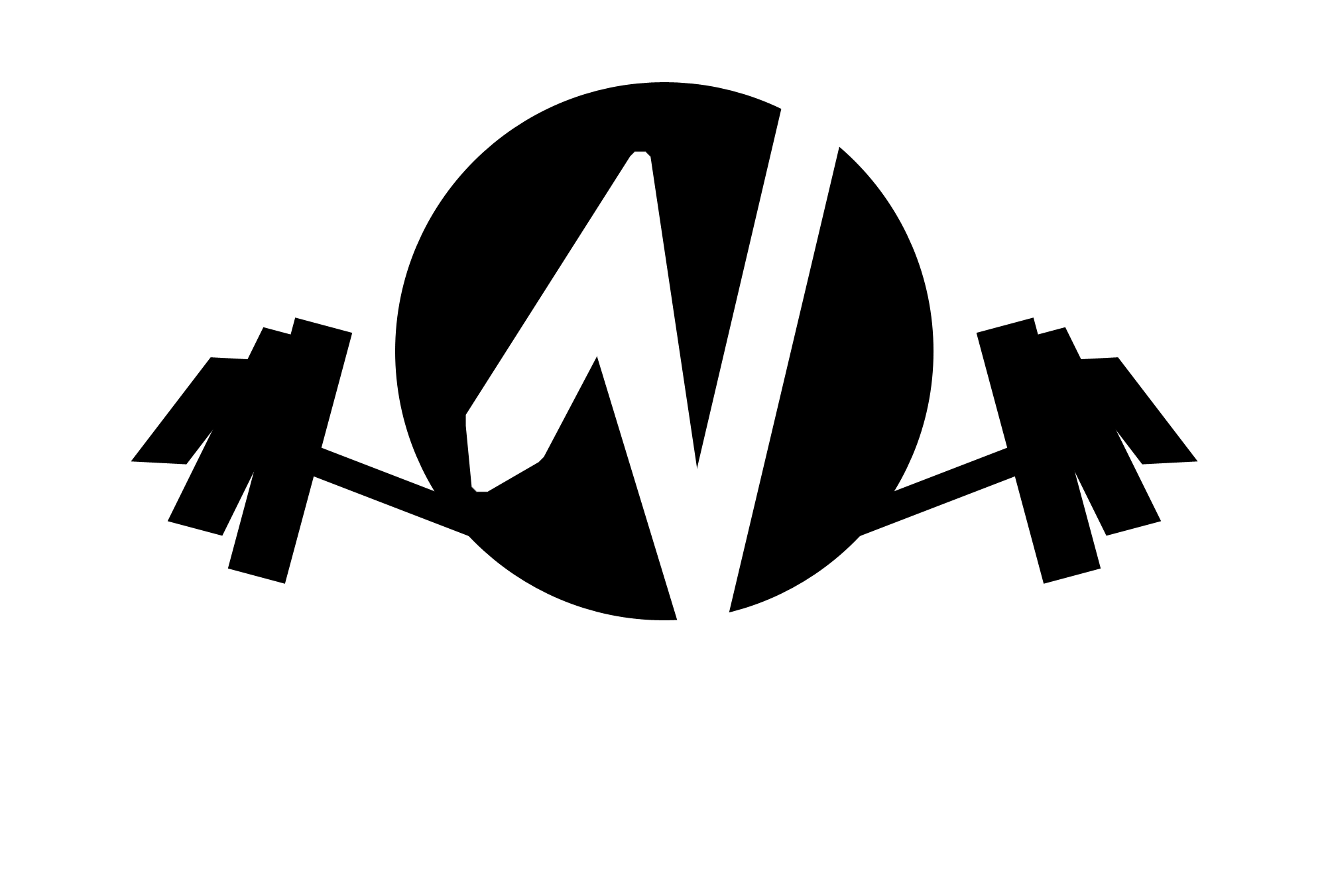 NEW-England-Fitness-Barbell-Black-FitWhite NEW-England-Fitness-Barbell-Black-FitWhite